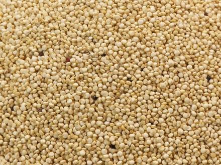 Quinoa - INDUSTRIAS JR PONCE & ASOCIADOS SAC